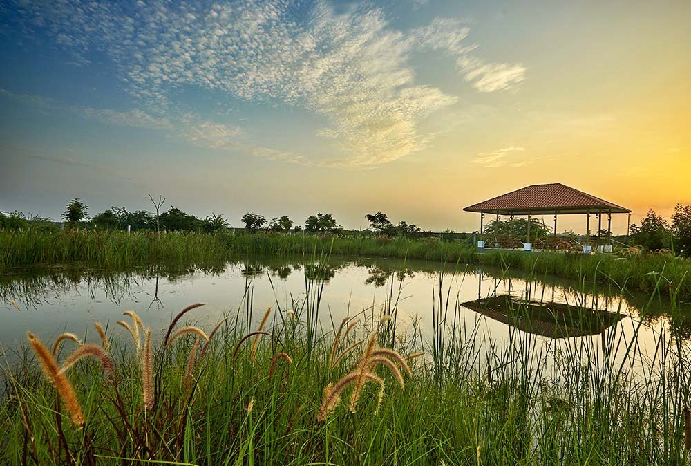 A scenic view of the Blackbuck Safari Lodge featuring a peaceful lake surrounded by tall grasses and lush greenery. A red-roofed open pavilion stands near the water, reflecting beautifully in the still lake. The golden hues of the sunset blend with the scattered clouds, creating a serene and picturesque atmosphere.