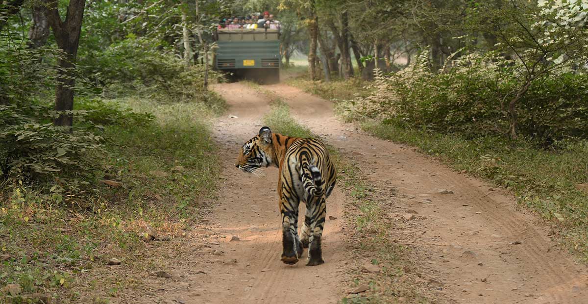 National Parks and Tiger Reserves of India