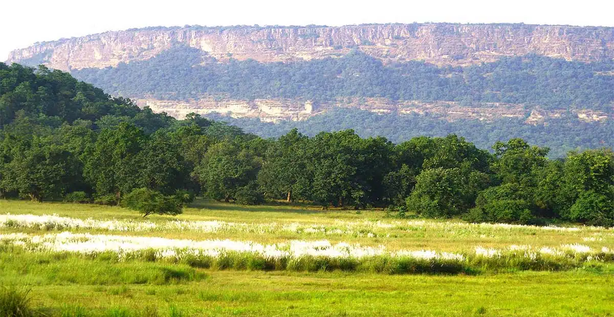 Bandhavgarh National Park