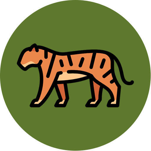 Tiger Safari Tours India Logo