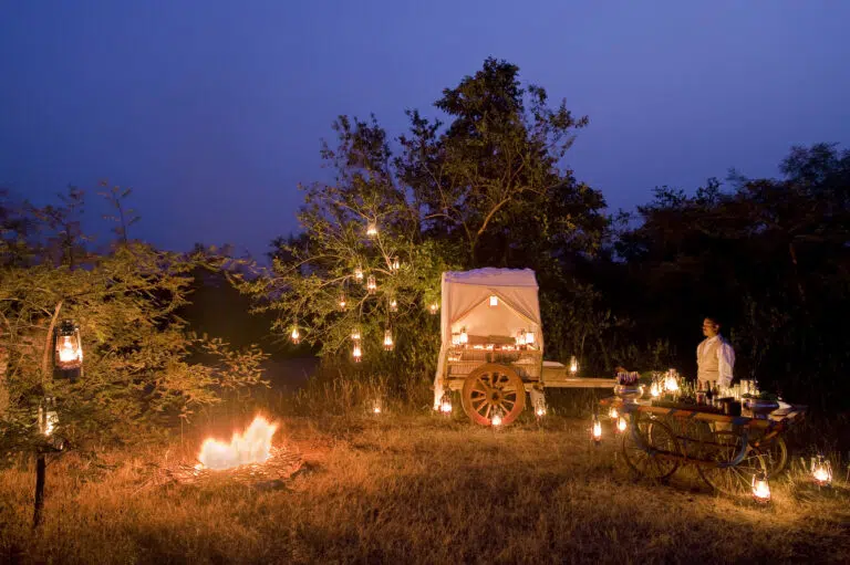 Enchanting Bush Dinner with Lanterns and Bonfire Under the Night Sky