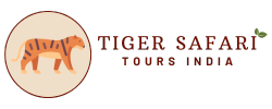 Tiger Safari Tours India