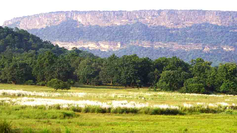 Key Facts About Bandhavgarh National Park