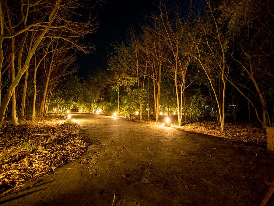 Bandhav Villas 2 - Copy