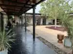 Bori Safari 4