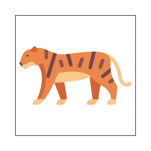 Tiger Safari Tours India