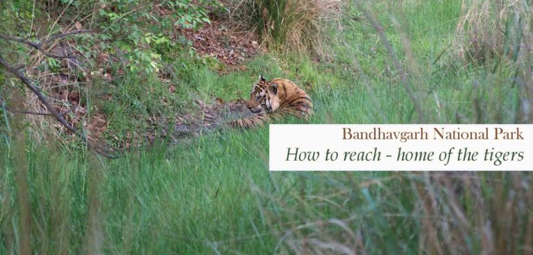 How to reach bandhavgarh