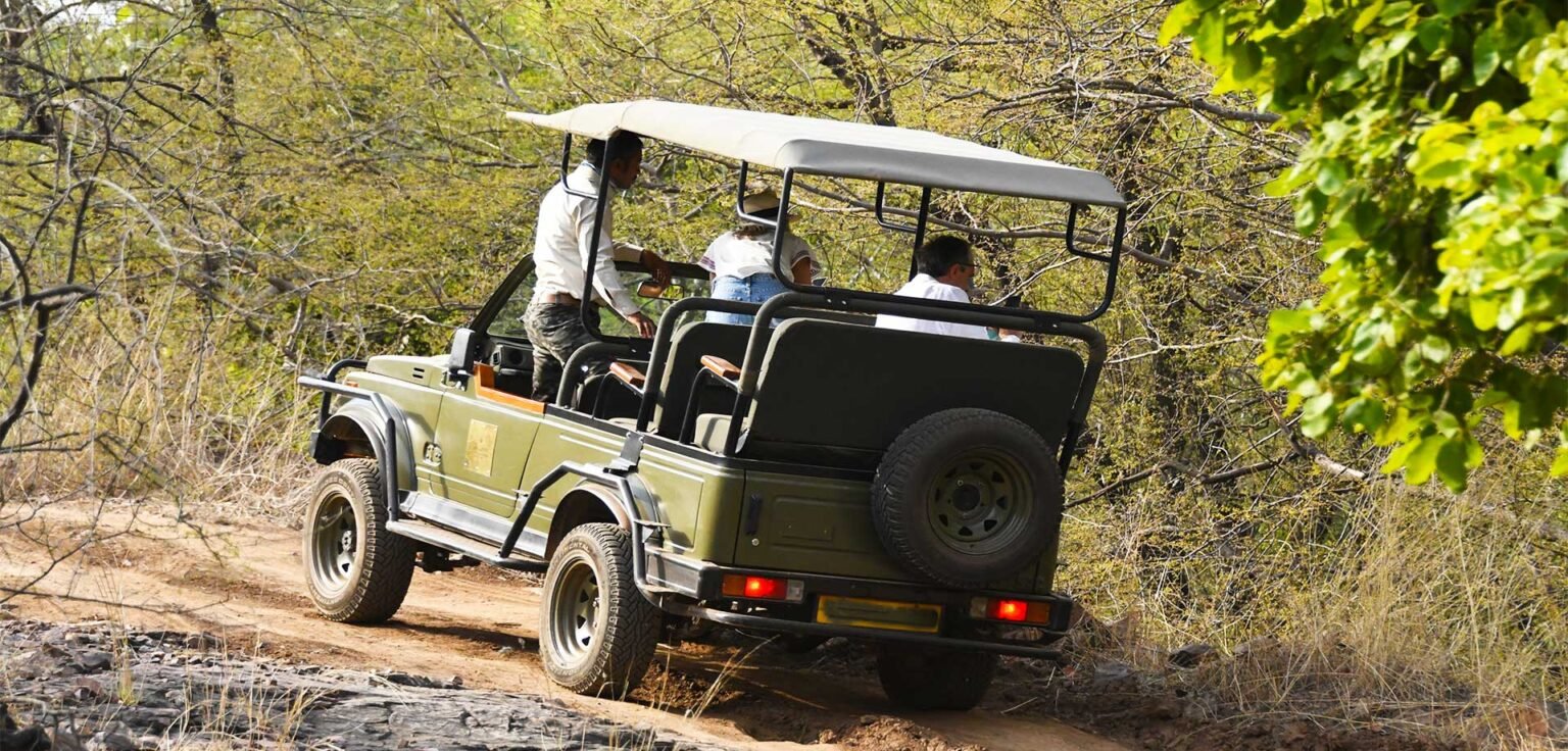 Things to carry on an Indian Safari Checklist for Safari