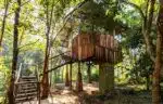 Kanha Jungle camp 1