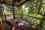 Kanha Jungle camp 3