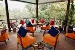 Kanha Jungle camp 4