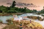 Kanha Jungle camp 5