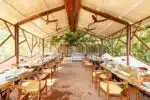 Kanha Jungle camp 6