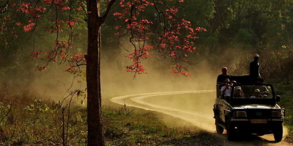 Types of Safari in India