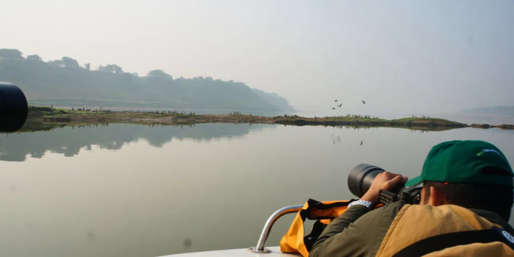 Boat Safari - Types of Safari in India