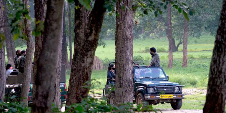 Tourists on a guided wildlife safari in a forest reserve, seated in open-top jeeps with a guide standing to provide information. The scene is set amidst dense trees and green forest undergrowth, capturing the experience of exploring nature and wildlife.