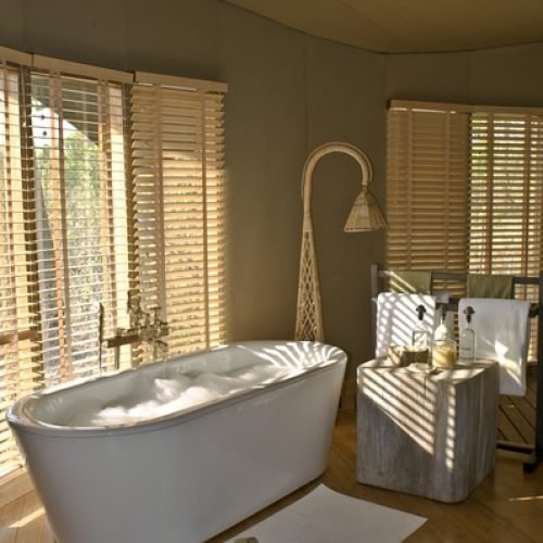 33330109_WLD_398x600