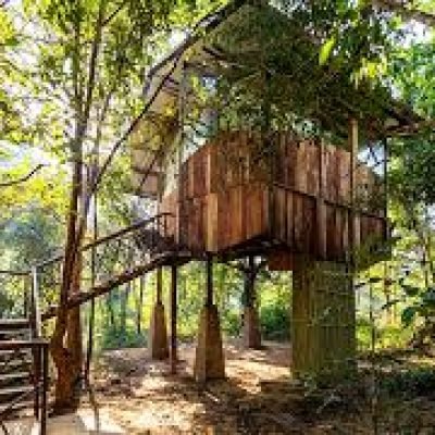 Kanha Jungle camp 1
