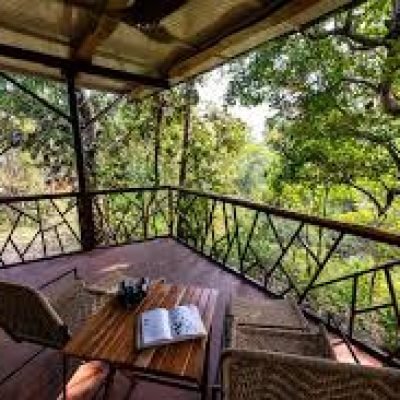 Kanha Jungle camp 3