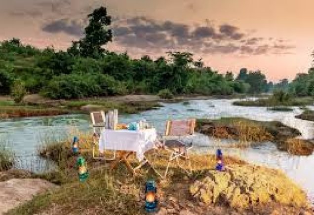 Kanha Jungle camp 5