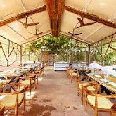Kanha Jungle camp 6