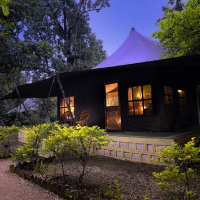 Pench Jungle Camp 2