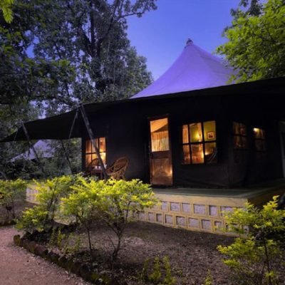 Pench Jungle Camp 2
