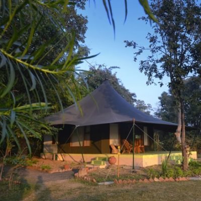Pench Jungle Camp 3