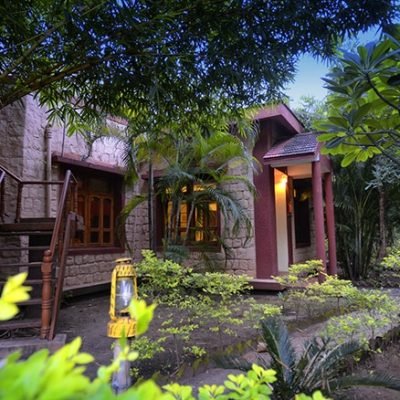 Pench Jungle Camp 8