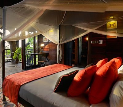 Pench Tree Lodge Pugdundee 1