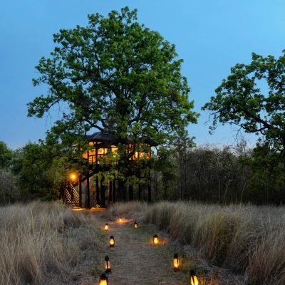Pench Tree Lodge Pugdundee 6
