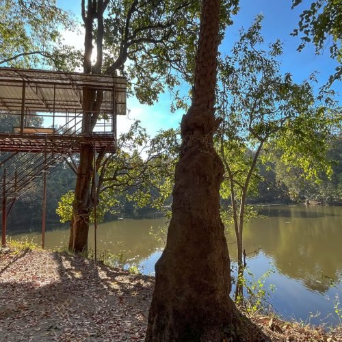 Rukhad Jungle Camp 4