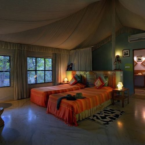 Rukhad Jungle Camp 6