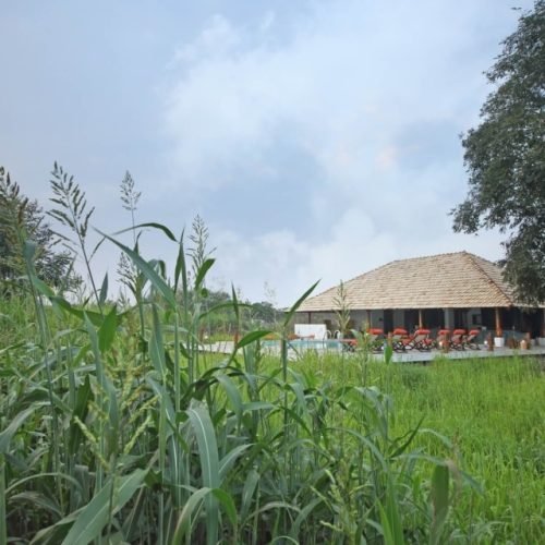Svasara 3