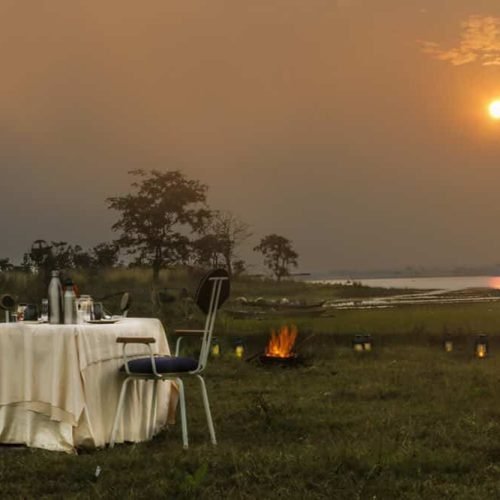 luxury hotels and resorts in tadoba National Park | 4 star hotels in tadoba national park | 5 star hotels in tadoba national park | tadoba national park hotel booking | best eco-resort in tadoba tiger reserve | top 5 resorts in tadoba national park | tadoba national park hotel deal | tadoba national park accommodation | accommodation & hotels in tadoba national park | top 5 hotels in tadoba park | resorts in tadoba chandrapur | tadoba national park packages | best resort in tadoba national park | 5 star hotels in tadoba | 5 star resorts in tadoba national park | 3 star hotels in tadoba | 3 star hotels in tadoba national park | top 5 hotels in tadoba | resorts near moharli gate in tadoba | tadoba hotel booking | top 5 resorts in tadoba | 4 star hotels in tadoba | 4 star resorts in tadoba national park | 3 star resorts in tadoba national park | luxury resorts in tadoba | best resorts in tadoba | top resorts in tadoba | tadoba national park tour packages | resorts in tadoba near moharli gate | resorts in tadoba andhari tiger reserve | hotels and resorts in tadoba | tadoba resorts | tadoba resorts near moharli gate | tadoba packages | tadoba national park hotel | tadoba national park safari | tadoba national park wildlife | tadoba national park wilderness | tadoba Irai Lake | tadoba national park tiger | tadoba andhari park | tadoba national park gates | my tadoba national park | tadoba national park resorts | tadoba hotels | tadoba resorts | tadoba national park hotels | tadoba tour packages