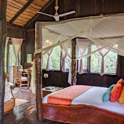 Tree House Hideaway 1