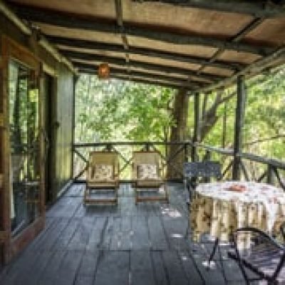 Tree House Hideaway 3