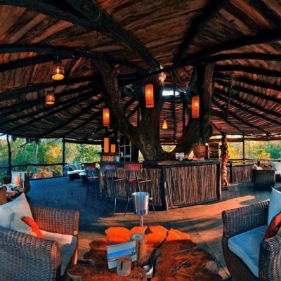 Tree House Hideaway 5