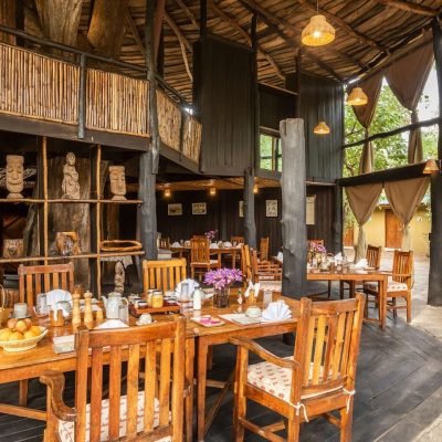 Tree House Hideaway 6