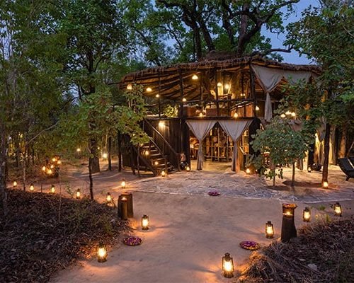 Tree House hideaway Bandhavgarh Tree House hideaway Bandhavgarh