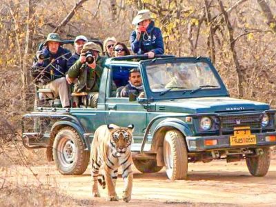 bandhavgarh-jeep-booking (1)