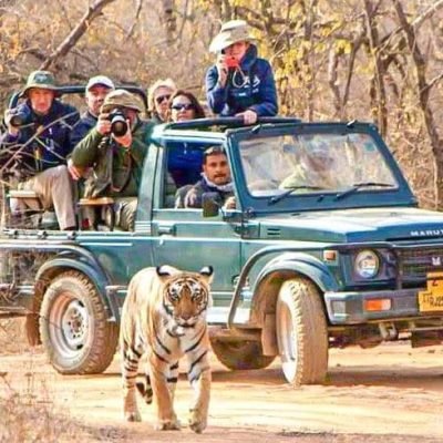 bandhavgarh-jeep-booking (1)