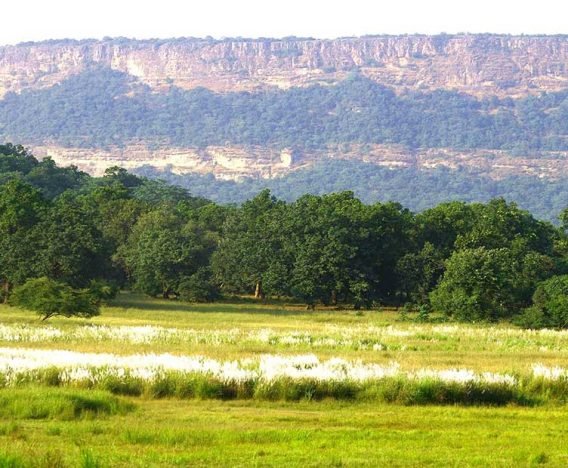 Bandhavgarh National Park