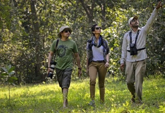 kanha-walking-safari