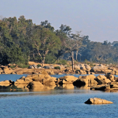 A tranquil river with large rocks scattered across the water, bordered by dense, green forest. The calm blue water reflects the rocks and trees, creating a peaceful natural scene under a clear sky.