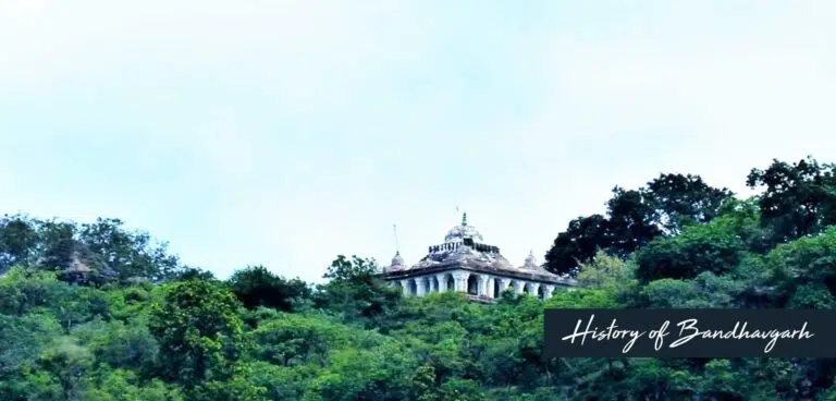 A historic fort perched on a hilltop, surrounded by lush green trees. The fort appears ancient and majestic, with a clear blue sky in the background.