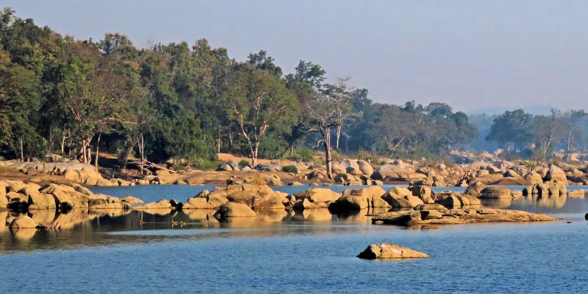 A tranquil river with large rocks scattered across the water, bordered by dense, green forest. The calm blue water reflects the rocks and trees, creating a peaceful natural scene under a clear sky.