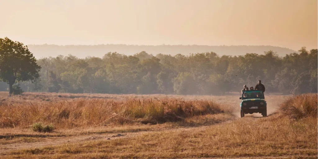 A jeep on a safari ride travels a dusty trail through golden grasslands with a hazy forest in the background under a warm, amber sky.